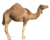 Нет непрочитанных сообщений
